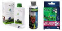 Plant Care