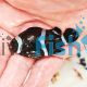 2x Balloon Black and White Clownfish