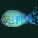 Tang Yellowfin Surgeonfish
