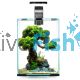 AquaEL Shrimp Tank Set 20 Black