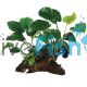 Assorted Double Anubias Driftwood