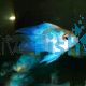 Balloon Electric Blue Longfin Ram