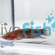 BETTA PAIR API API GREEN