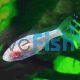 Blind Cave Tetra 4cm