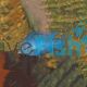 Blue Dolphin 3cm