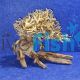 Bonsai Driftwood 15cm x 12cm 