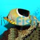 Butterflyfish - Saddled Med