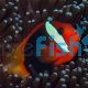 Clownfish Cinnamon - Medium