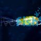 Live Copepods 2.5k 500ml
