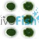 Aquascaping Ground Cover Pack - TC