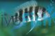 Frontosa 7Bar 8cm - Blue Form