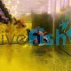 Demekin Goldfish 12cm