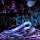 White Ribbon Eel
