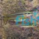 Flyspeck Hardyhead - Craterocephalus stercusmuscarum