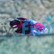 Male Giant Koi Plakat Halfmoon