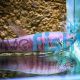 Gladiator Betta Simorum 10cm Pair 1Xm 1Xf