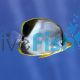 Goldhead Butterflyfish