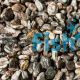 Gun Smoke Gravel