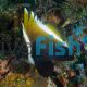 Horned Bannerfish 