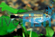 January Tetra 3.5cm