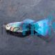 Male Blue Neon Guppy 3.5cm