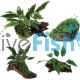 Mixed Driftwood Plant Pack