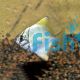 Silver Mono Argent (Brackish) 4cm 