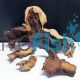 Mopani Driftwood Pack
