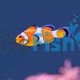 Clownfish Orange & White SML