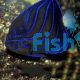 Angelfish Blue Ring
