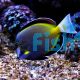Powder Black Tang 
