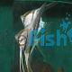 Orinoco Altum Angelfish - Pterophyllum altum