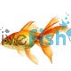 Fantail Red