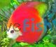 Marlboro Red Discus 5cm (Symphysodon Sp)