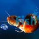10x Red Ramshorn Snail