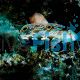 Signal Goby MED