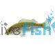 Silver Perch