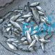 25x Silver Perch 3-4cm
