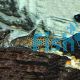 Synodontis Petricola