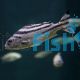 Target Fish - Brackish
