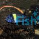 Tropheus Duboisi Maswa 4cm