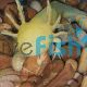 Turtle and Axolotl Pebble 5kg