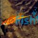 Golden Swordtail