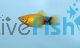 Mickey Mouse Sunset Platy 4cm