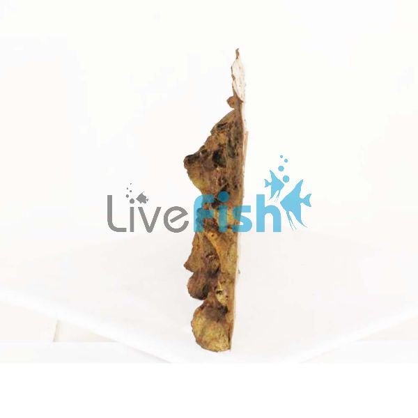 Ledge Background 152cm x 61cm