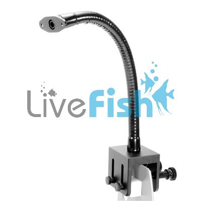 Kessil Series-A80 Gooseneck Mount