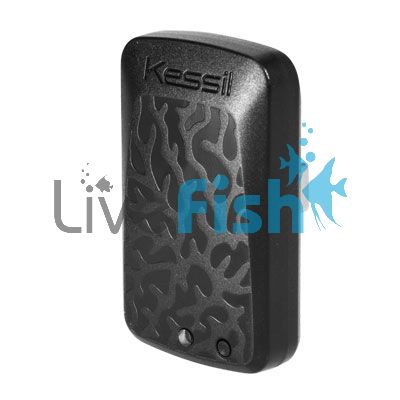 Kessil Wifi Dongle 