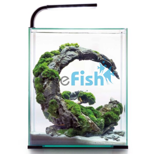 AquaEL Shrimp Tank Set 30 - Black