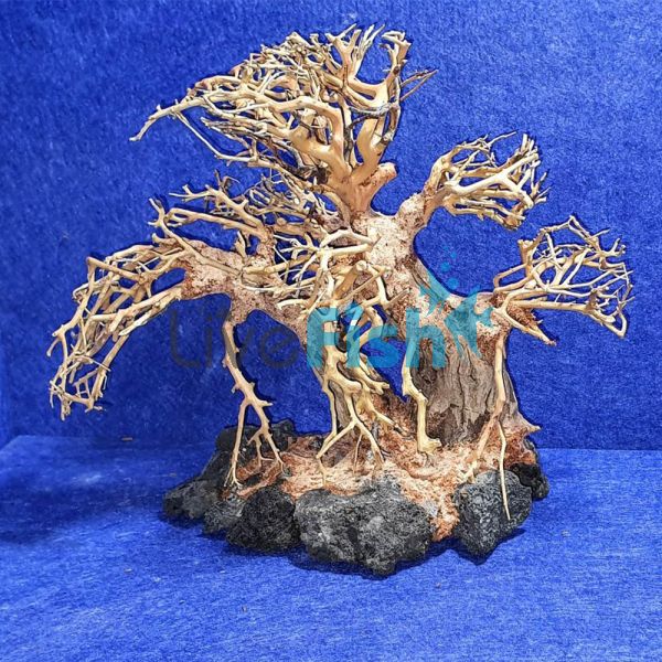 Bonsai Driftwood 20cm x 15cm