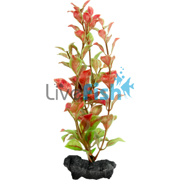 Decoart Plant Red Ludwigia - Large 30cm